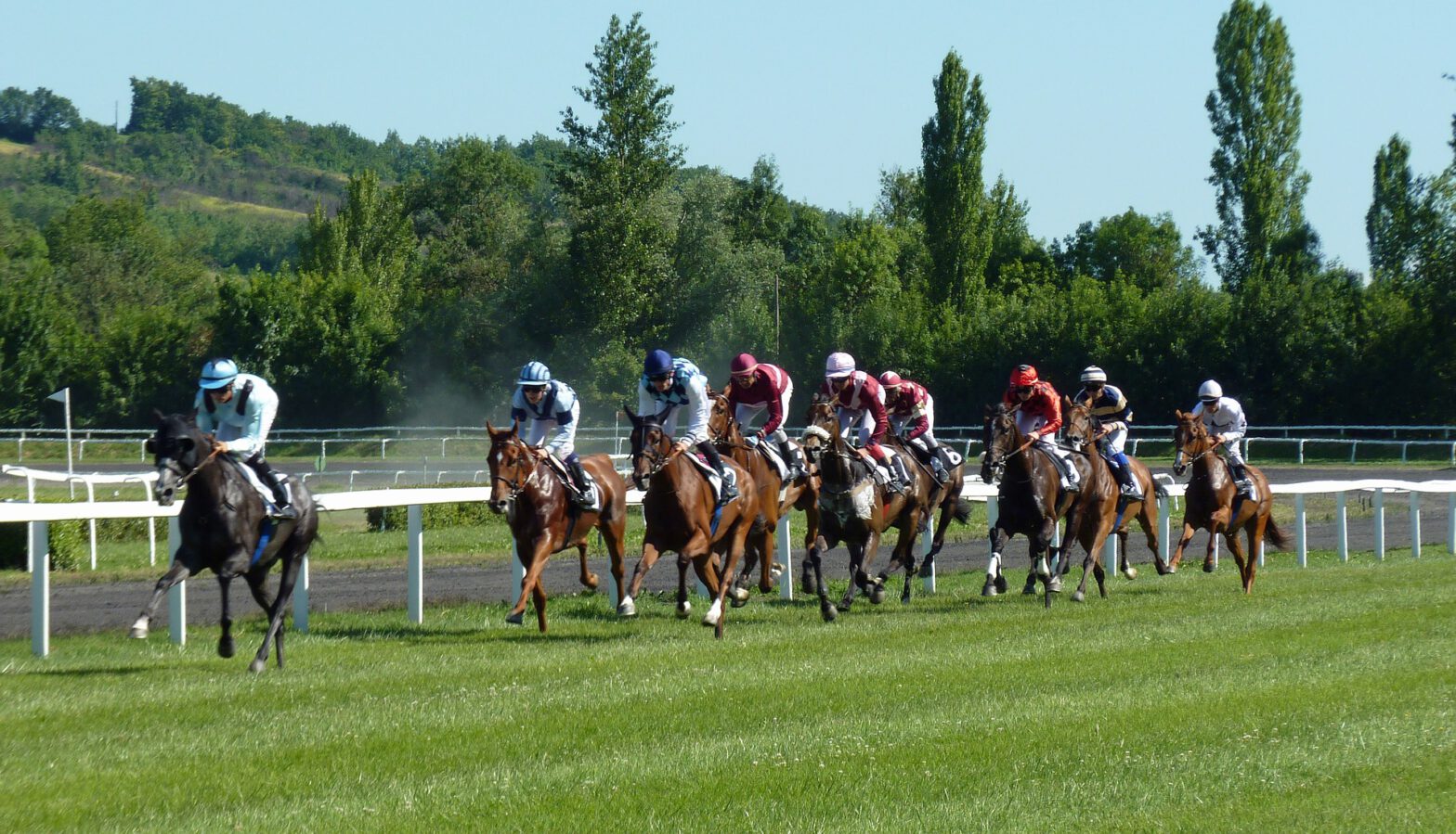 Pferderennen Hippodrom