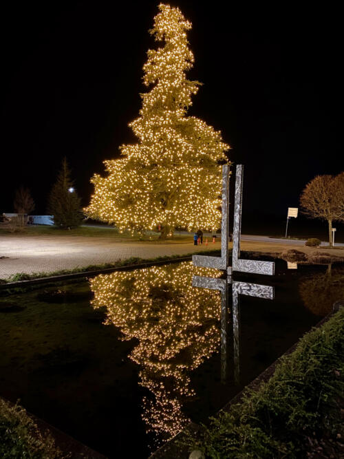 Weihnachtsbaum Bad Homburg